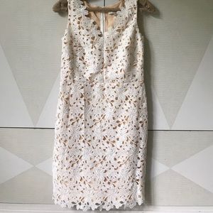 LOFT lace overlay dress